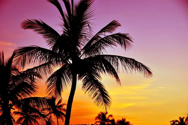 Coucher de soleil tropical — Photo