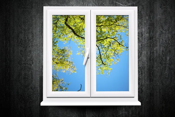 Fenster zum Sommer — Stockfoto