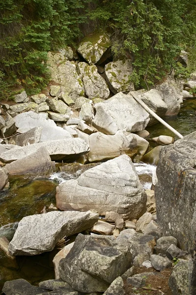 Rocky Mountain Stream — Stockfoto