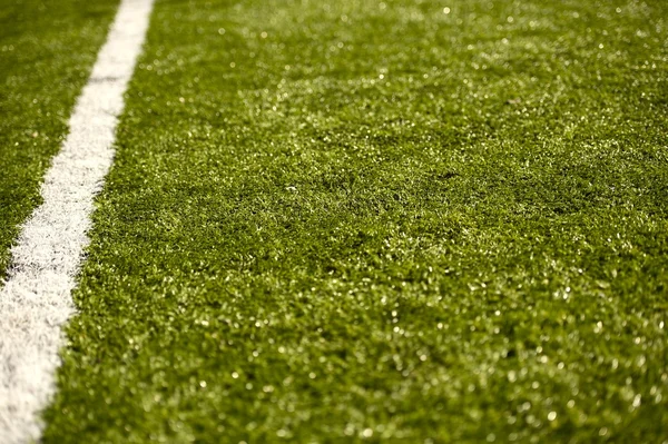 Campo di erba sportiva con linea — Foto Stock