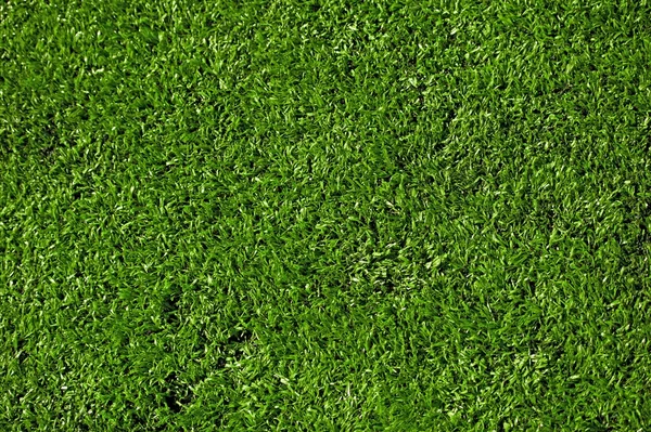 Texture d'herbe Hi-Res — Photo