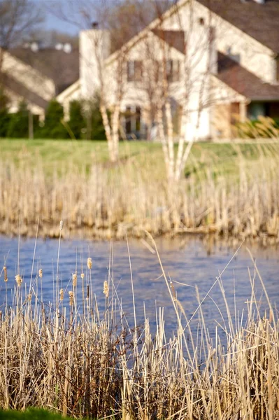 Pond in Residential Area — Stock Photo, Image