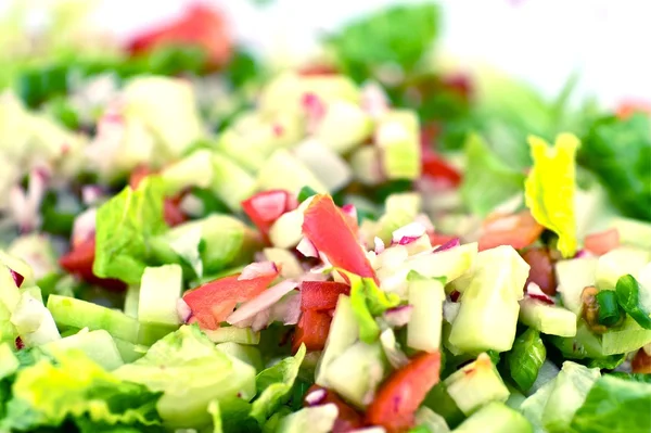 Salada de Primavera Orgânica — Fotografia de Stock