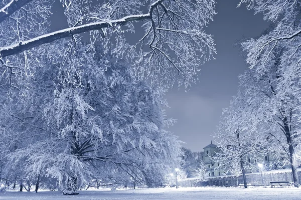 Winter Scenery — Stock Photo, Image