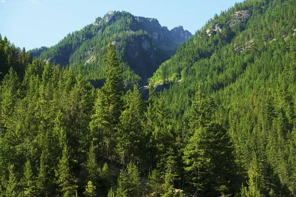 Каскадные горы США — стоковое фото