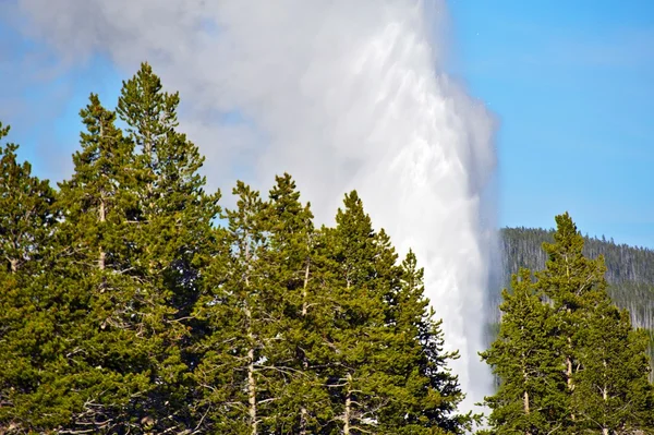 Eruzione geyser — Foto Stock