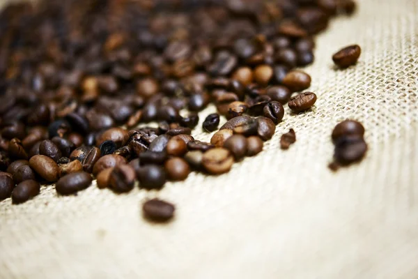 Coffee Beans Theme — Stock Photo, Image