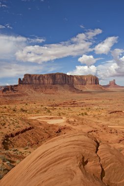 Arizona çöl manzarası