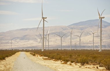 Mojave Çölü yol