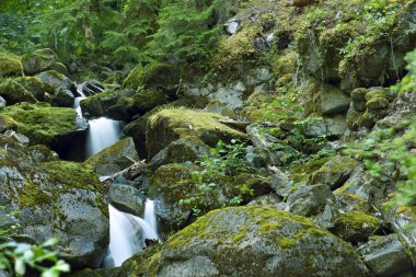 Rocky Dağları creek