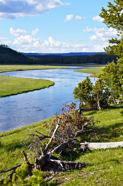 Ποταμού Yellowstone — Φωτογραφία Αρχείου