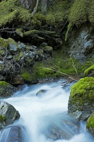 Rocky creek landskap — Stockfoto