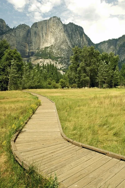 Dřevěná cesta v yosemite — Stock fotografie