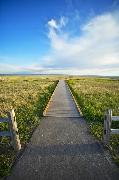 Pathway and View Point — Stock Photo, Image