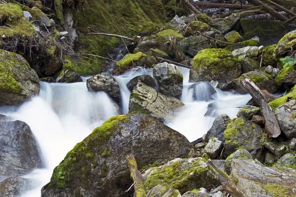 Schilderachtige washington staat — Stockfoto