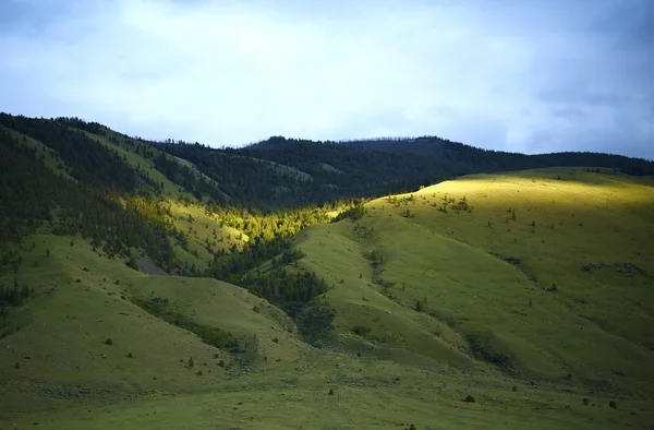 Colinas verdes de Yellowstone — Fotografia de Stock