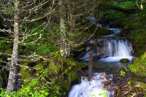 Lilla bäcken vattenfall — Stockfoto