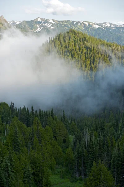 有雾的奥林匹克山 — 图库照片