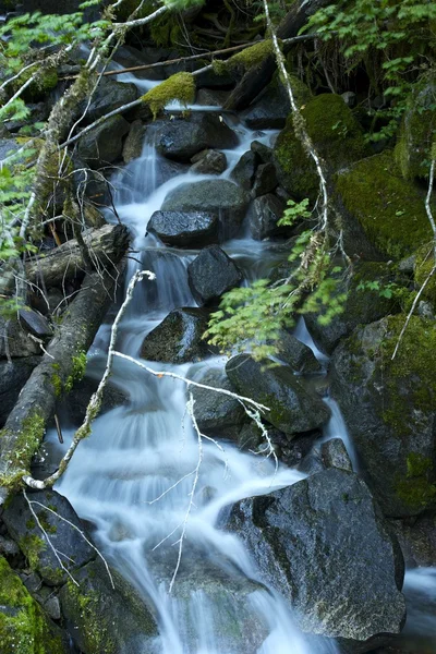 Små glaciär ström — Stockfoto