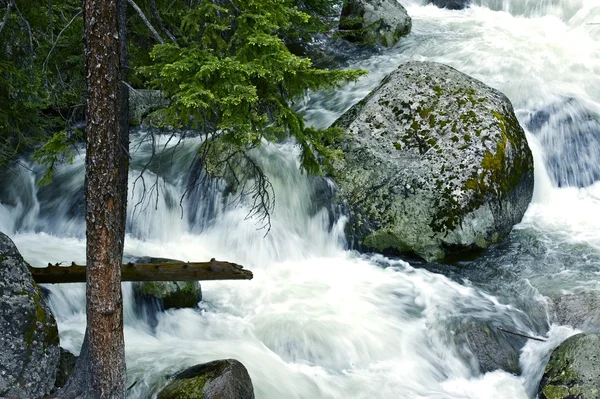 Roca en el río — Foto de Stock