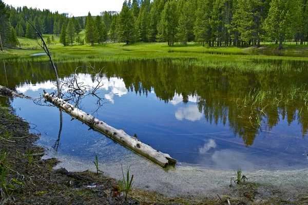 Étang Yellowstone — Photo