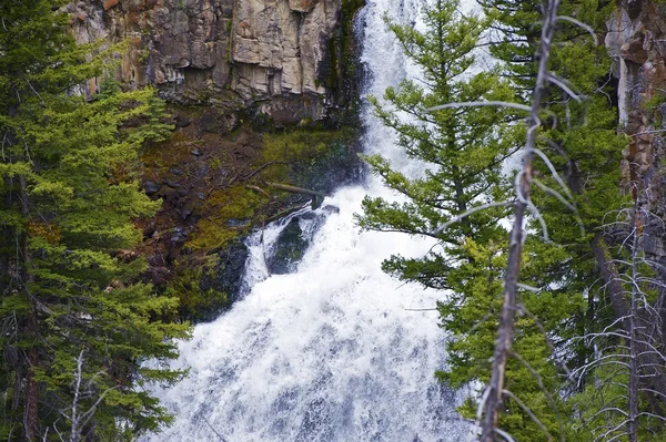 Yellowstone-Wasserfall — Stockfoto