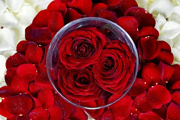 Rode rozen decoratie — Stockfoto