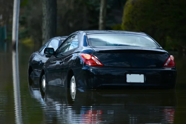 Flooded Cars — Zdjęcie stockowe