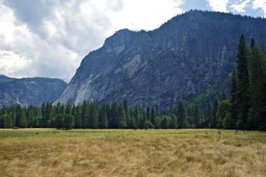 Yosemite n.p. Vadisi