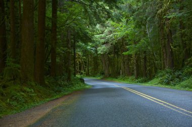 derin ahşap oregon yol