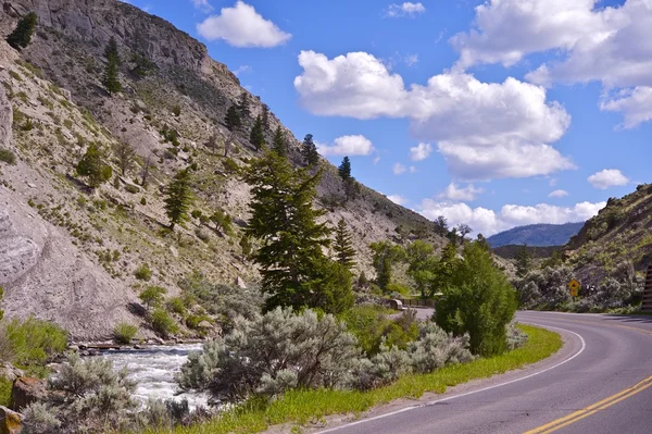 Carretera de Yellowstone np — Foto de Stock