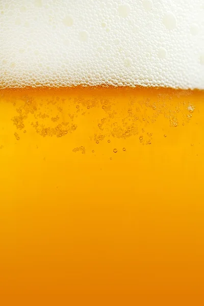 Beer Background — Stock Photo, Image