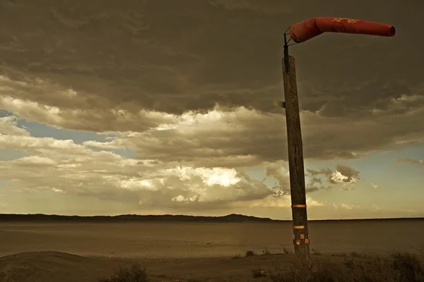 Rüzgarlı mojave Çölü — Stok fotoğraf