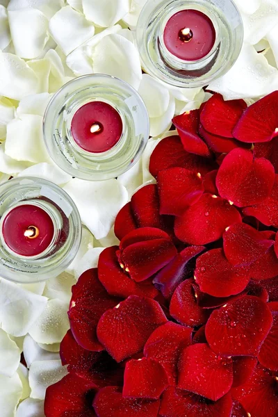 Candles on Roses — Stock Photo, Image