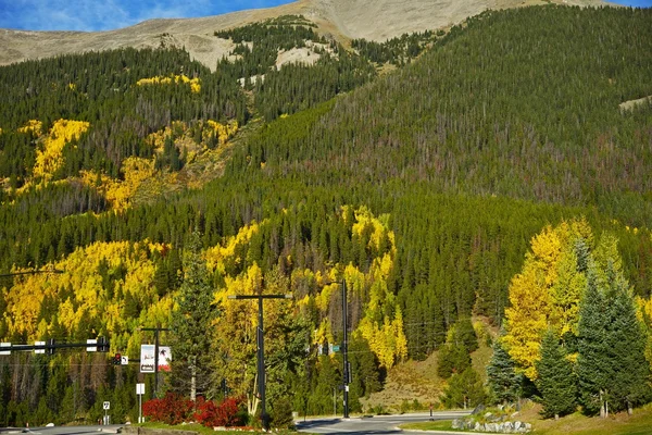 Colinas de aspen Colorado — Fotografia de Stock