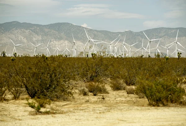 Kalifornische Windkraftanlage — Stockfoto