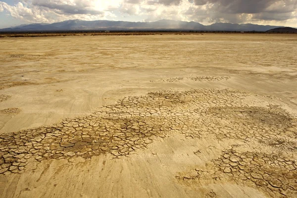 Dessert Lakebed — Stock Photo, Image