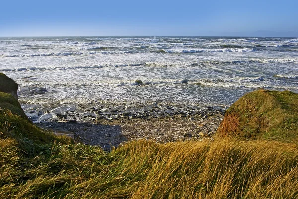 Windy Shore — Stock Photo, Image