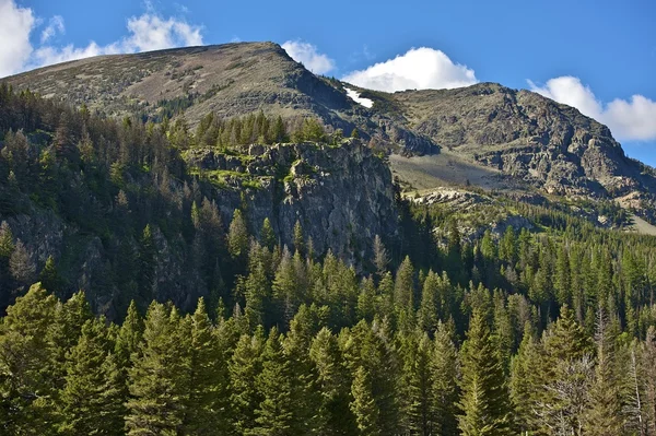 Kuzey montana — Stok fotoğraf