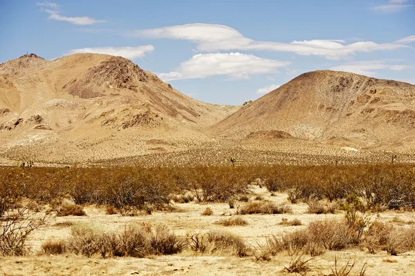 Paysage du désert de Mojave — Photo