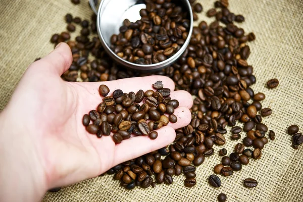 Coffee Beans Selection — Stock Photo, Image