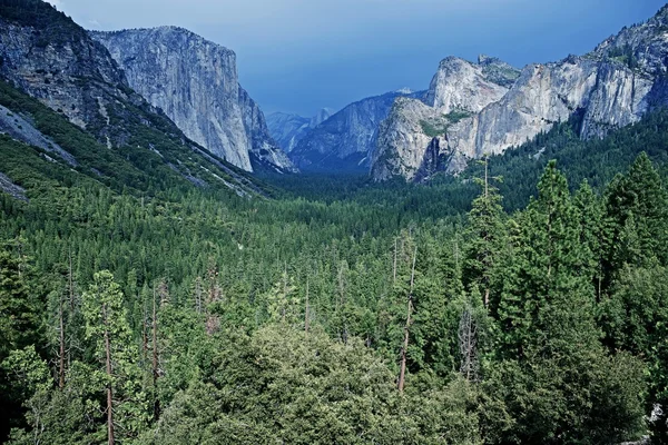 Sierra Nevada Yosemite — Foto Stock