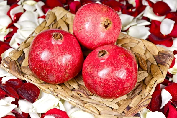 Pomegranate Fruits — Stock Photo, Image