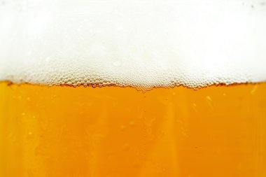 bira ve köpük zemin