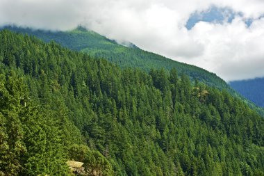 British columbia dağlar