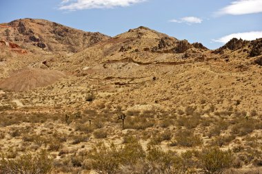 Mojave Çölü peyzaj