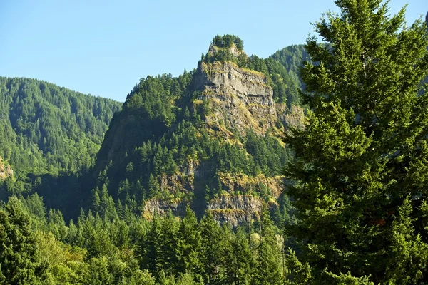Oregon landschap — Stockfoto