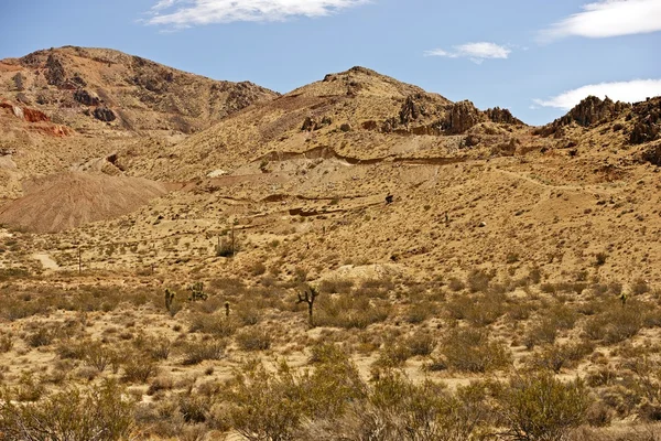 Τοπίο έρημο Mojave — Φωτογραφία Αρχείου