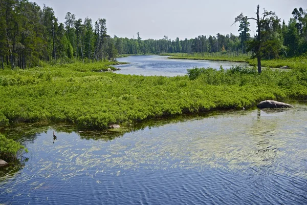 Norra minnesota — Stockfoto