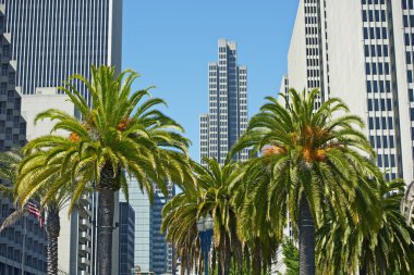 San Francisco, Ca